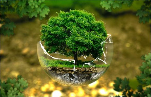 environment impact